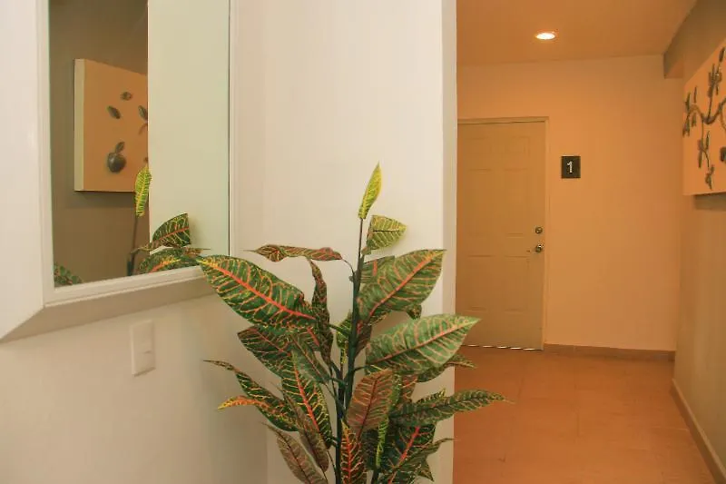 Xell Suites & Hotel Playa del Carmen