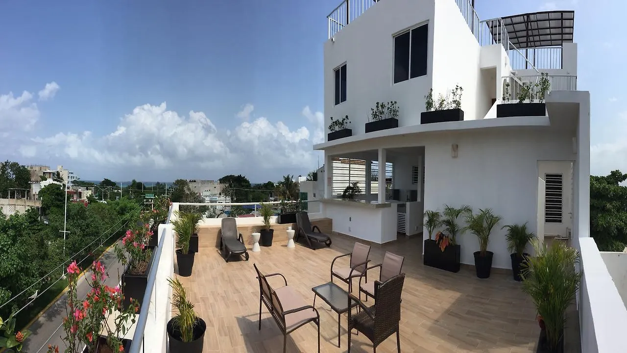 Xell Suites & Hotel Playa del Carmen